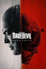 Daredevil: Born Again Season 1 EP 05