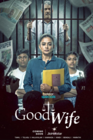 Good Wife Season 1